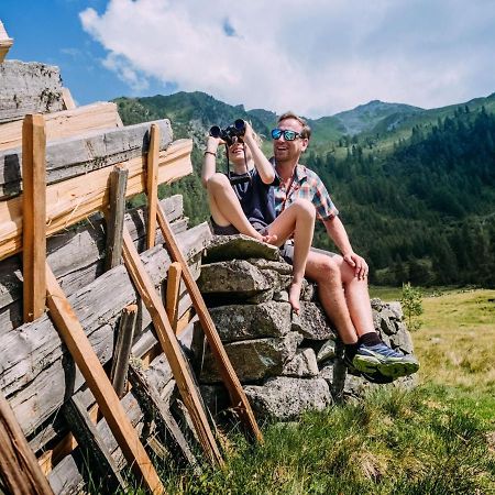 Chalet Freiblick Kleinhaid, Hollersbach Hollersbach im Pinzgau Exterior photo