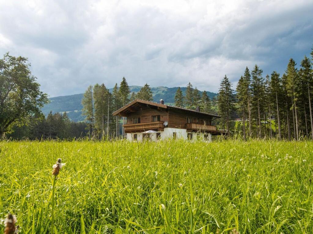Chalet Freiblick Kleinhaid, Hollersbach Hollersbach im Pinzgau Exterior photo