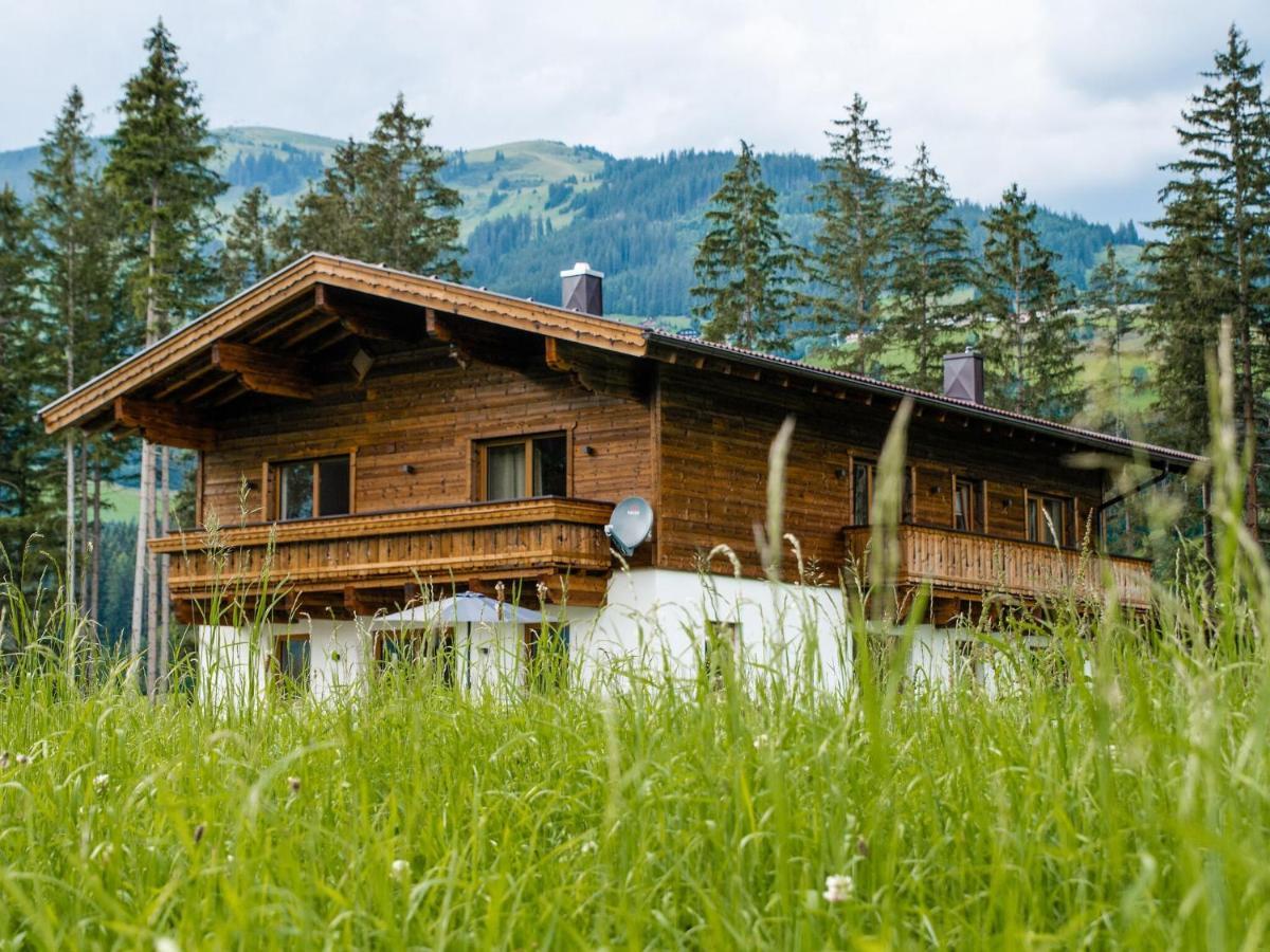 Chalet Freiblick Kleinhaid, Hollersbach Hollersbach im Pinzgau Exterior photo